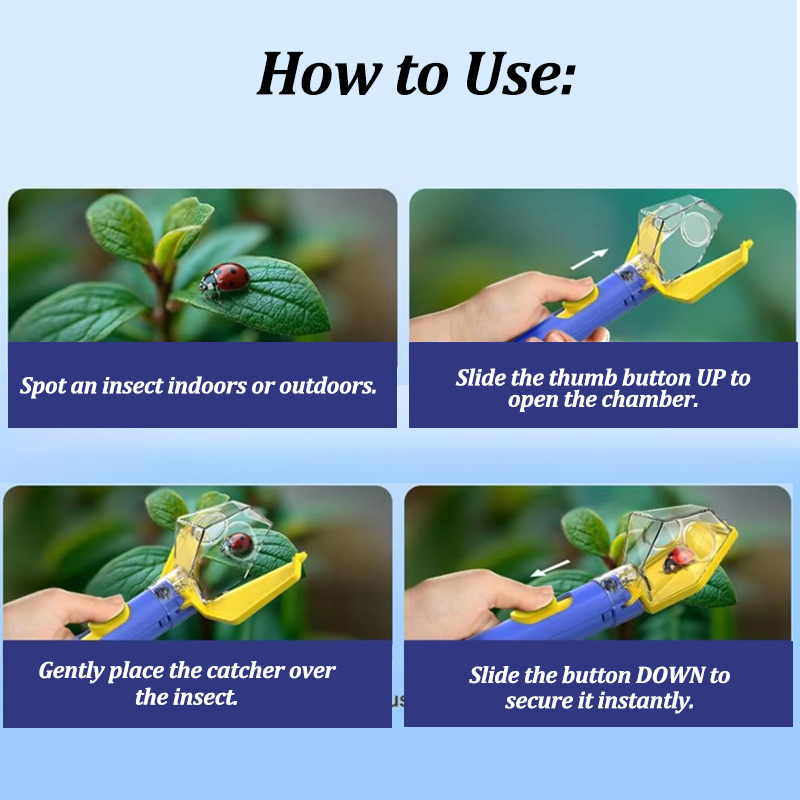Atrapa Insectos Portátil con L - Kids Outdoor Explorer Kit reseña y precio