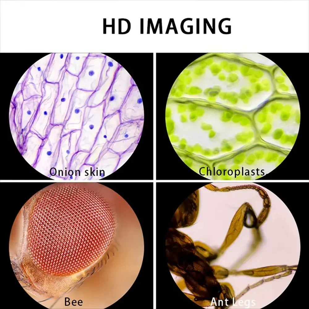 Microscopio de bolsillo portát - Kids Outdoor Microscope reseña y precio